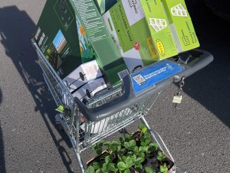 Cumpărături de grădină de la Lidl